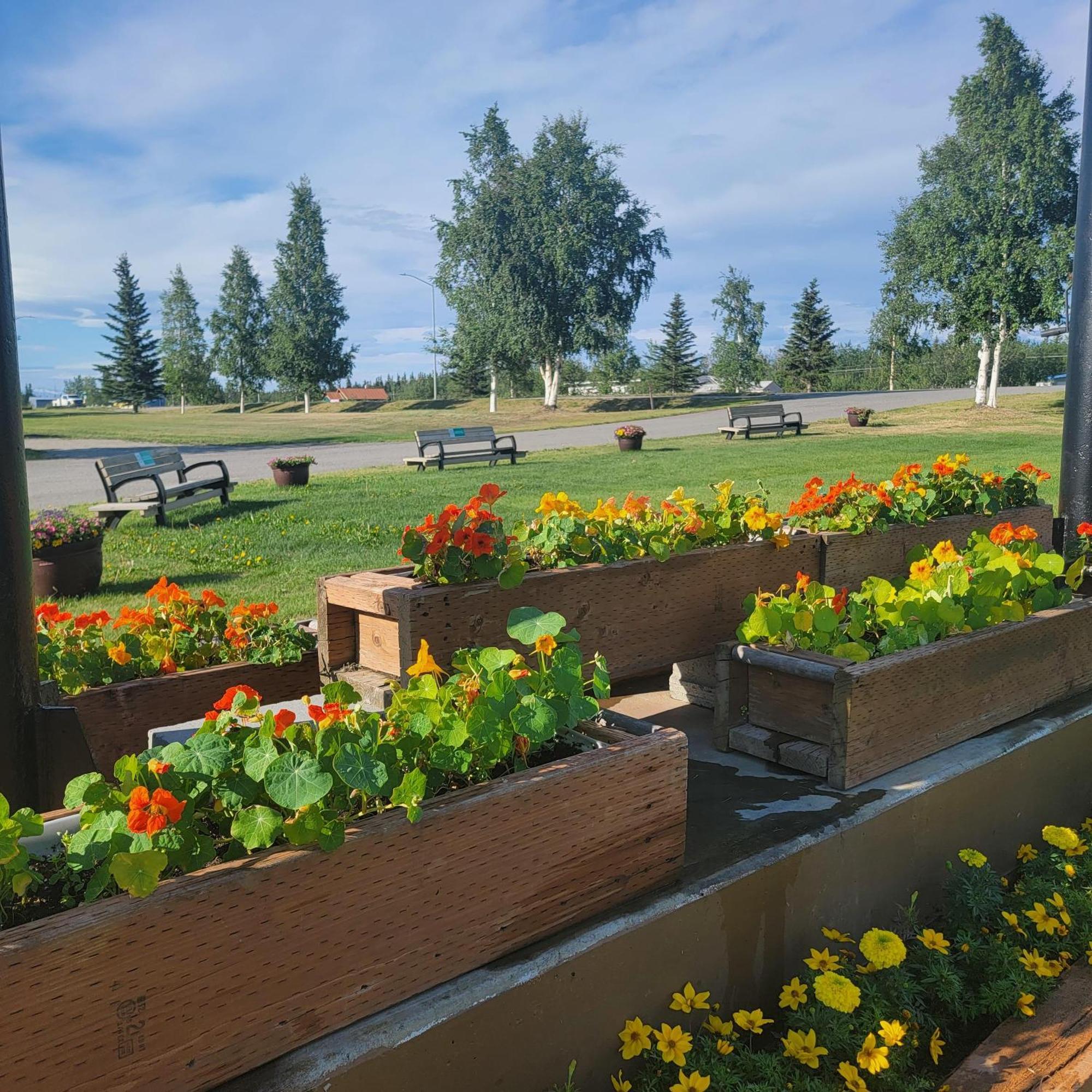 Alaska Country Inn Delta Junction ภายนอก รูปภาพ
